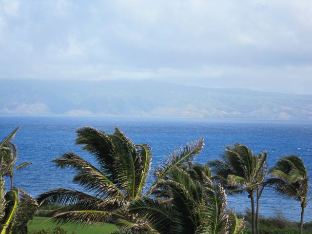 IMG 0620 copy